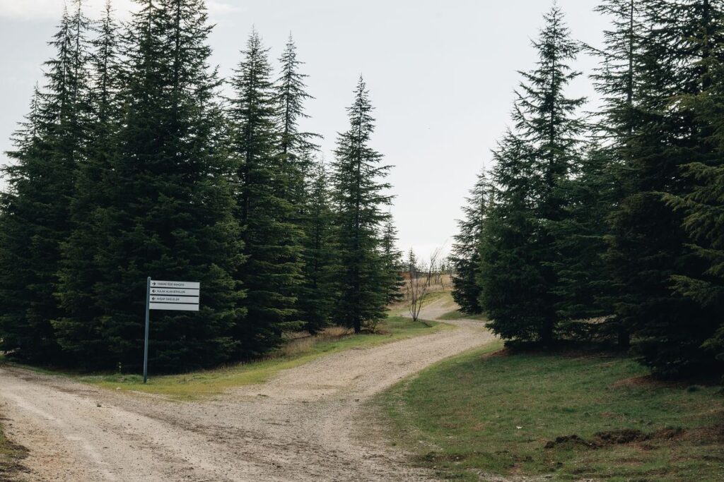 Wooden signpost at a rural crossroads pointing different ways, like timeframes giving conflicting signals