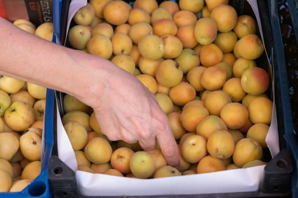 Hand picking one apricot from a market crate, like choosing one forex pair to learn first
