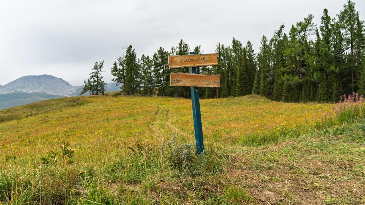 Wooden signpost at a trail junction, like choosing between levels in a key levels trading strategy